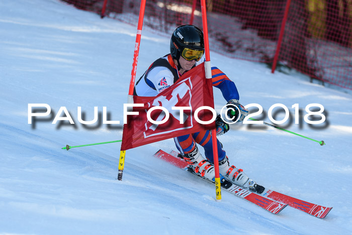 Int. FIS Rennen Herren, RS, Maria Alm 10.01.2018