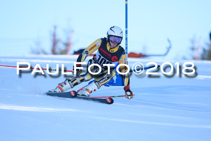 Int. FIS Rennen Herren, RS, Maria Alm 10.01.2018