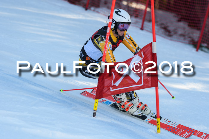Int. FIS Rennen Herren, RS, Maria Alm 10.01.2018