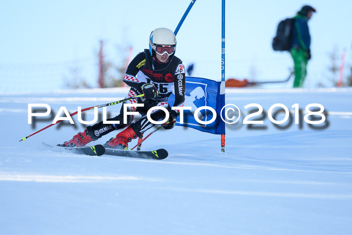 Int. FIS Rennen Herren, RS, Maria Alm 10.01.2018