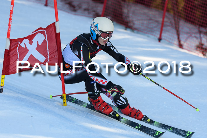 Int. FIS Rennen Herren, RS, Maria Alm 10.01.2018