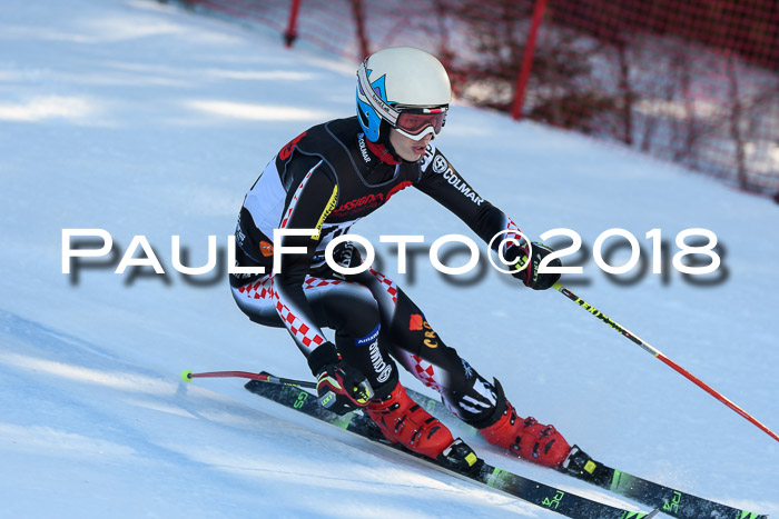 Int. FIS Rennen Herren, RS, Maria Alm 10.01.2018