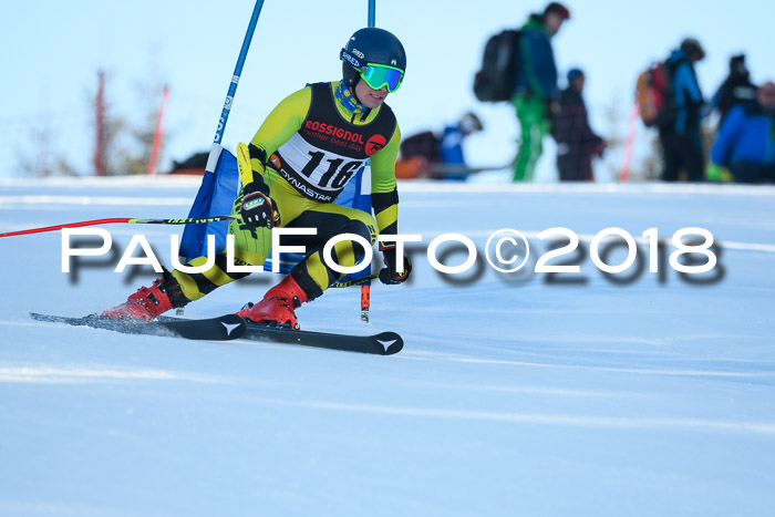 Int. FIS Rennen Herren, RS, Maria Alm 10.01.2018