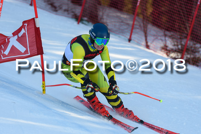 Int. FIS Rennen Herren, RS, Maria Alm 10.01.2018