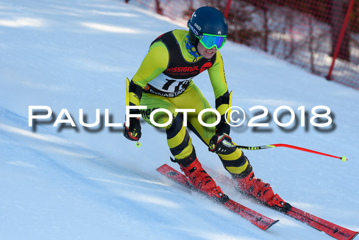 Int. FIS Rennen Herren, RS, Maria Alm 10.01.2018