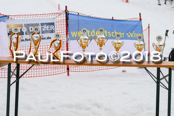 Int. FIS Rennen Herren, RS, Maria Alm 10.01.2018