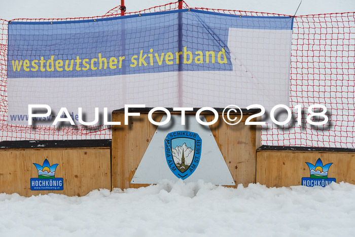 Int. FIS Rennen Herren, RS, Maria Alm 10.01.2018