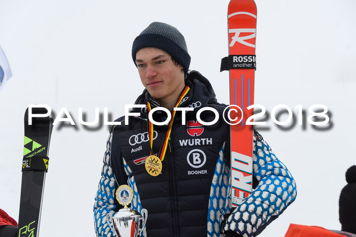 Int. FIS Rennen Herren, RS, Maria Alm 10.01.2018