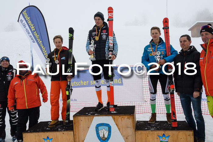 Int. FIS Rennen Herren, RS, Maria Alm 10.01.2018