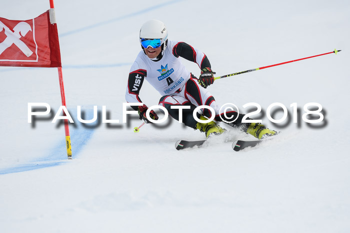 Int. FIS Rennen Herren, RS, Maria Alm 11.01.2018