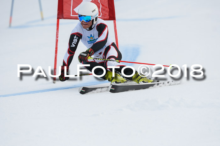 Int. FIS Rennen Herren, RS, Maria Alm 11.01.2018