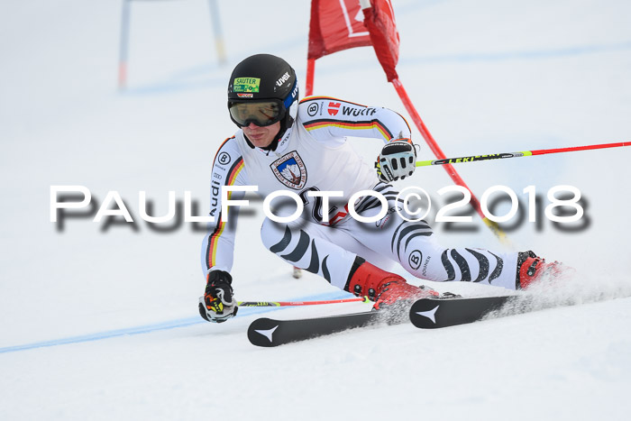 Int. FIS Rennen Herren, RS, Maria Alm 11.01.2018