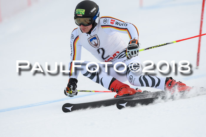 Int. FIS Rennen Herren, RS, Maria Alm 11.01.2018