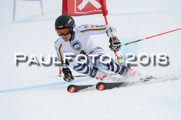 Int. FIS Rennen Herren, RS, Maria Alm 11.01.2018