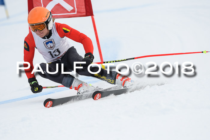 Int. FIS Rennen Herren, RS, Maria Alm 11.01.2018