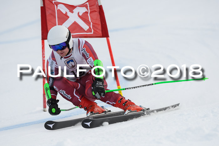 Int. FIS Rennen Herren, RS, Maria Alm 11.01.2018