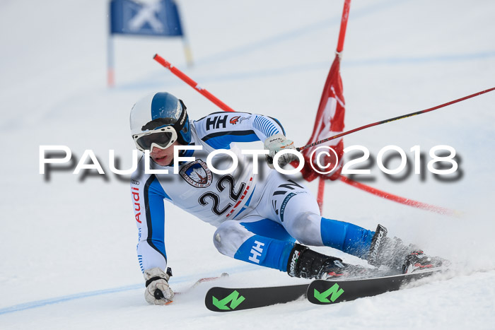 Int. FIS Rennen Herren, RS, Maria Alm 11.01.2018