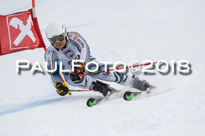 Int. FIS Rennen Herren, RS, Maria Alm 11.01.2018