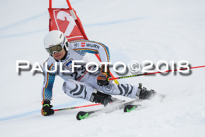 Int. FIS Rennen Herren, RS, Maria Alm 11.01.2018