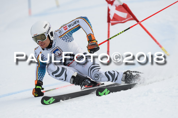 Int. FIS Rennen Herren, RS, Maria Alm 11.01.2018