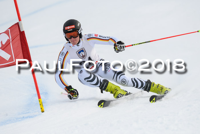 Int. FIS Rennen Herren, RS, Maria Alm 11.01.2018