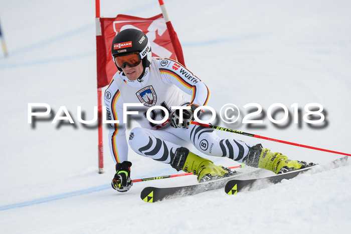Int. FIS Rennen Herren, RS, Maria Alm 11.01.2018
