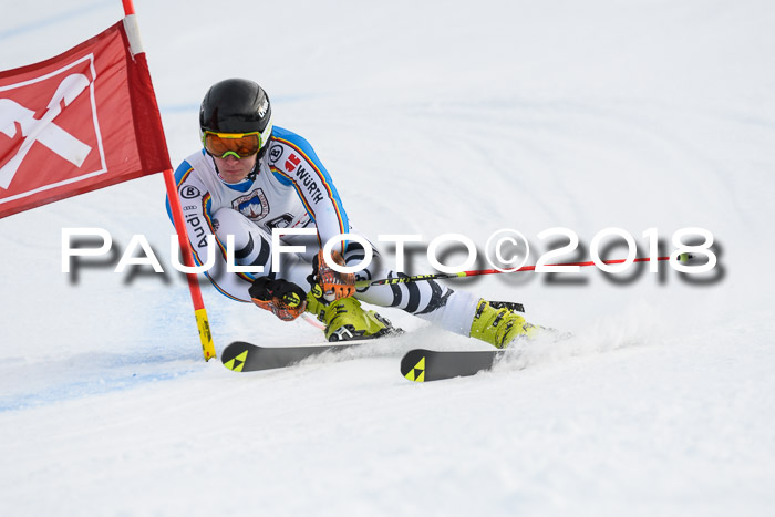 Int. FIS Rennen Herren, RS, Maria Alm 11.01.2018