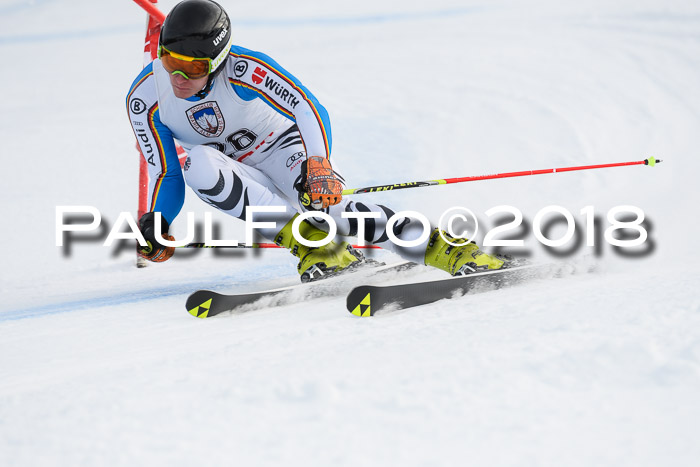 Int. FIS Rennen Herren, RS, Maria Alm 11.01.2018