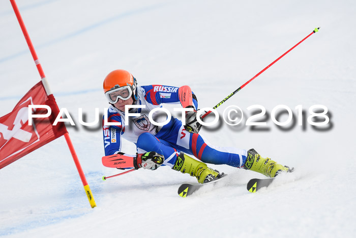 Int. FIS Rennen Herren, RS, Maria Alm 11.01.2018