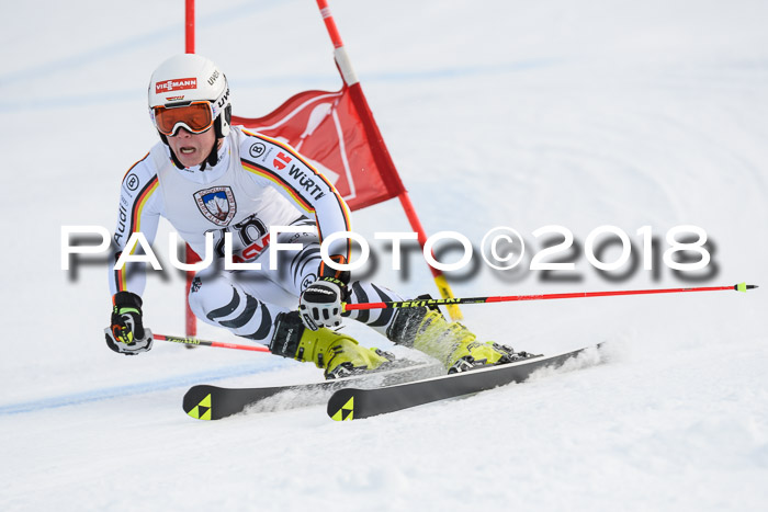 Int. FIS Rennen Herren, RS, Maria Alm 11.01.2018