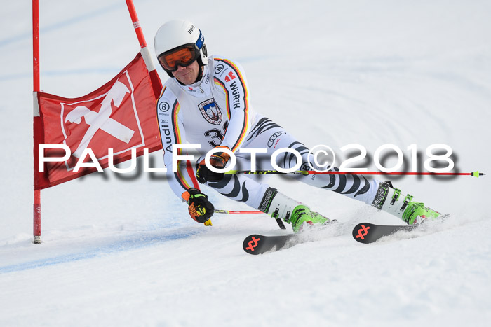 Int. FIS Rennen Herren, RS, Maria Alm 11.01.2018
