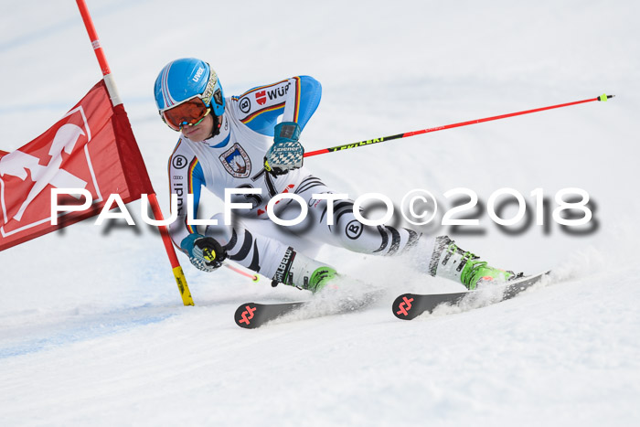 Int. FIS Rennen Herren, RS, Maria Alm 11.01.2018