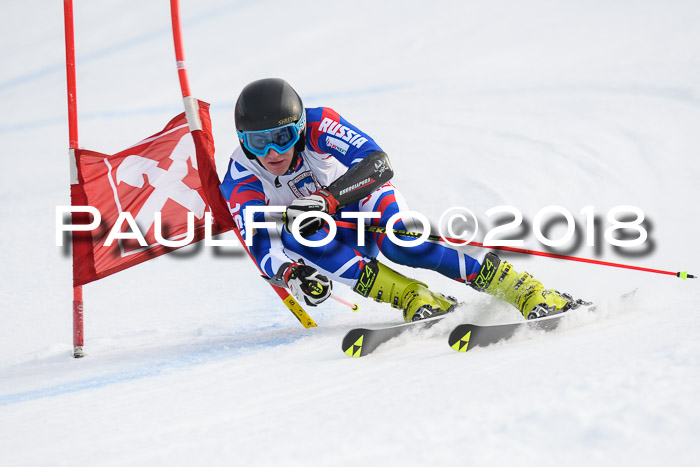 Int. FIS Rennen Herren, RS, Maria Alm 11.01.2018