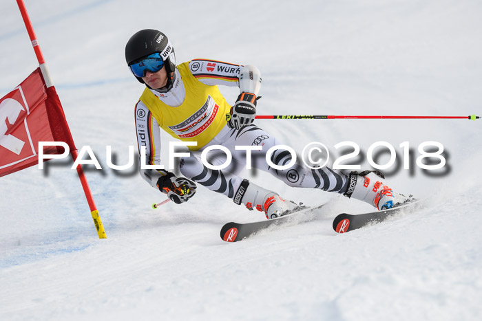 Int. FIS Rennen Herren, RS, Maria Alm 11.01.2018