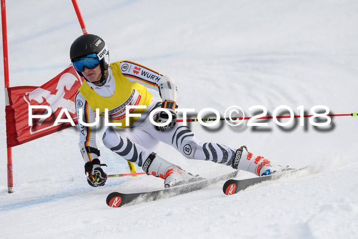 Int. FIS Rennen Herren, RS, Maria Alm 11.01.2018