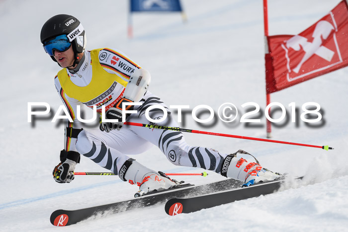 Int. FIS Rennen Herren, RS, Maria Alm 11.01.2018