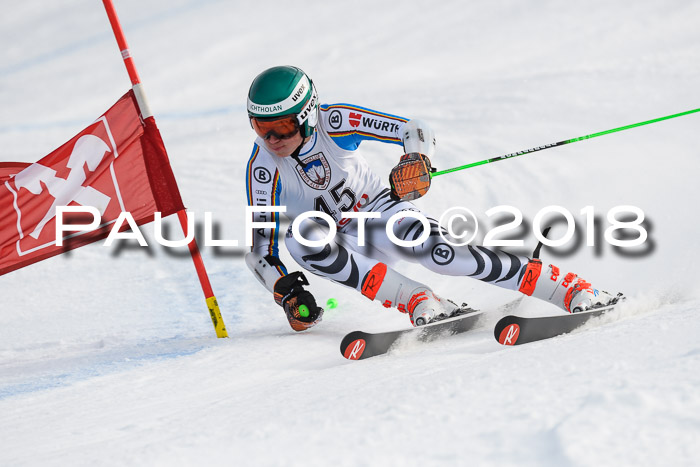 Int. FIS Rennen Herren, RS, Maria Alm 11.01.2018