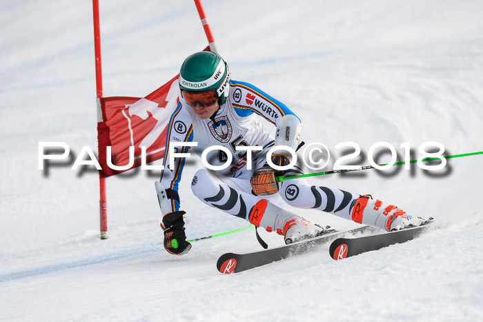 Int. FIS Rennen Herren, RS, Maria Alm 11.01.2018