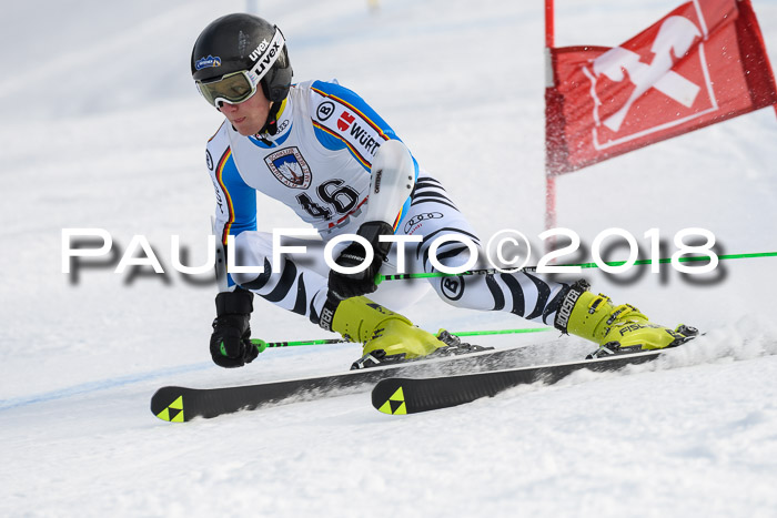 Int. FIS Rennen Herren, RS, Maria Alm 11.01.2018