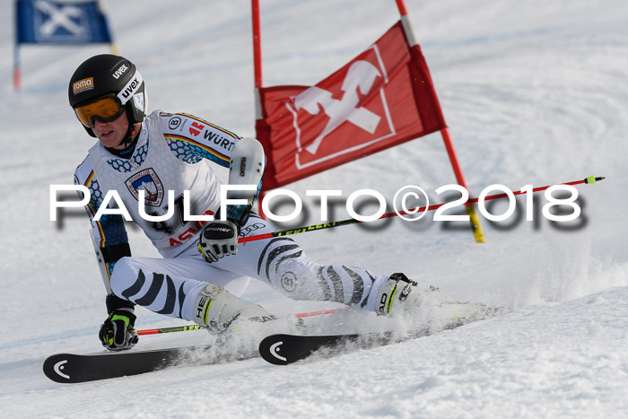 Int. FIS Rennen Herren, RS, Maria Alm 11.01.2018