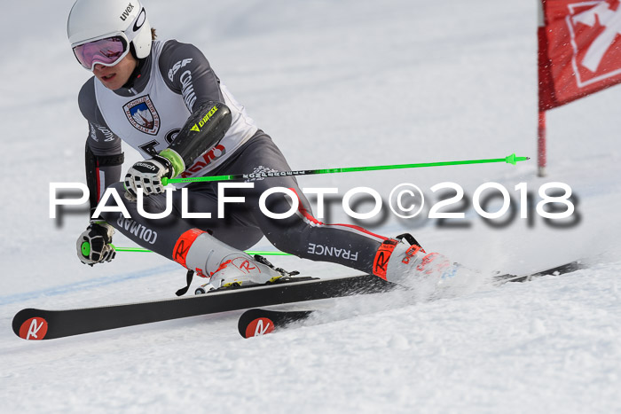 Int. FIS Rennen Herren, RS, Maria Alm 11.01.2018