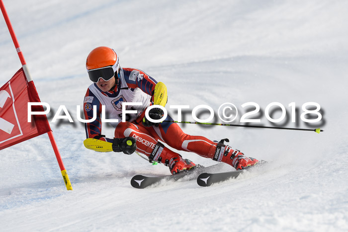 Int. FIS Rennen Herren, RS, Maria Alm 11.01.2018