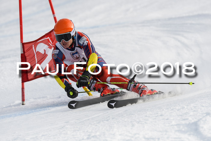 Int. FIS Rennen Herren, RS, Maria Alm 11.01.2018