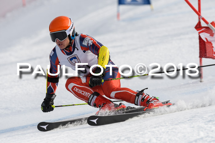 Int. FIS Rennen Herren, RS, Maria Alm 11.01.2018