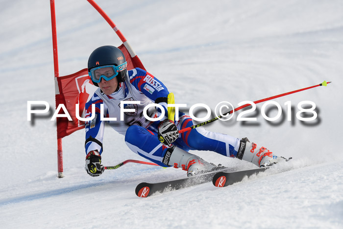 Int. FIS Rennen Herren, RS, Maria Alm 11.01.2018