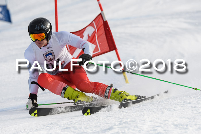 Int. FIS Rennen Herren, RS, Maria Alm 11.01.2018