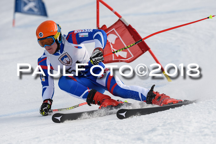 Int. FIS Rennen Herren, RS, Maria Alm 11.01.2018