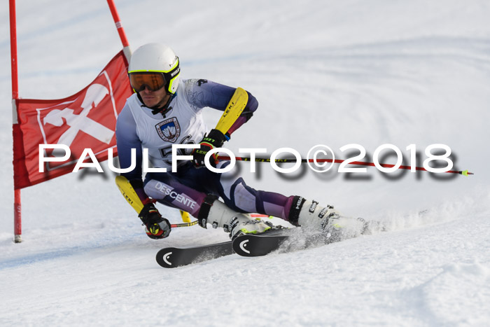 Int. FIS Rennen Herren, RS, Maria Alm 11.01.2018