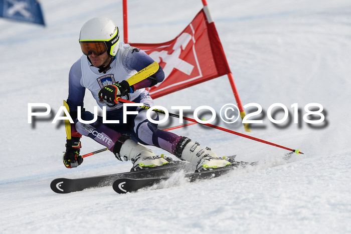 Int. FIS Rennen Herren, RS, Maria Alm 11.01.2018