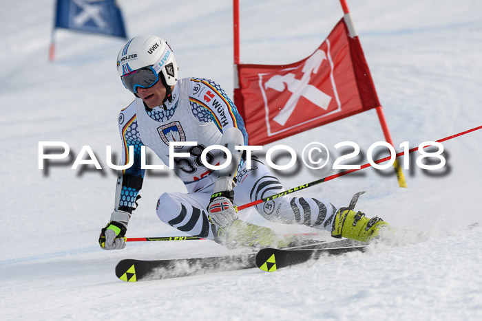 Int. FIS Rennen Herren, RS, Maria Alm 11.01.2018